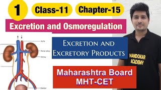 Class11 Chapter15 Excretion and Osmoregulation Excretion and Excretory Products Lecture1 [upl. by Jacklyn790]