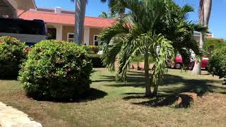 MEMORIES VARADERO BEACH RESORT 4 CUBA [upl. by Nets11]