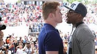 Shane Mosley quotMayweather amp Canelo hit the samequot if Canelo wins he wont be surprised [upl. by Domph]