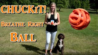 ChuckIt Breathe Right Ball [upl. by Aromat]