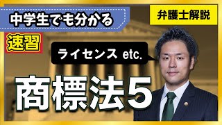 【商標法】商標のライセンスとは｜商標権の利用・意義【58】 [upl. by Zischke509]