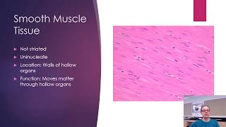 Histology  Bone and Muscle [upl. by Roderigo]