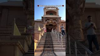 Ludhiana temple । लुधियाना मंदिर।temple love ytshorts shorts [upl. by Savell921]