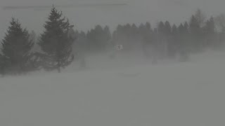 Maltempo bufera di neve a Cervinia le raffiche di vento sono fortissime [upl. by Naarah910]