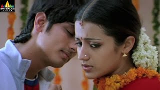 Nuvvostanante Nenoddantana Movie Scenes  Siddharth and Trisha Scene  Sri Balaji Video [upl. by Noremac507]