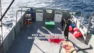 Barco japonês domina pesca de atum em águas do Brasil [upl. by Ful363]