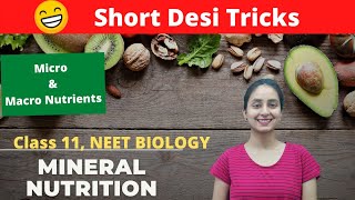 Macronutrients vs Micronutrients Understanding the Key Components of Your DietMacronutrients [upl. by Etteuqaj725]