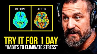 NEUROSCIENTIST You Will NEVER Be Stressed Again  Andrew Huberman [upl. by Ielak475]