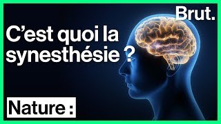 Synesthésie  quand le cerveau mélange les sens [upl. by Kunkle674]