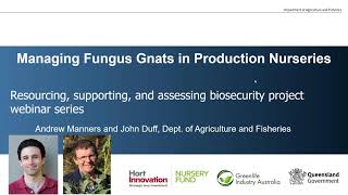 Managing fungus gnats in Australian production nurseries [upl. by Watkin]