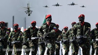 Venezuela Independence Day parade 2019 Best Moments  Desfile Cívico Militar [upl. by Nivla]