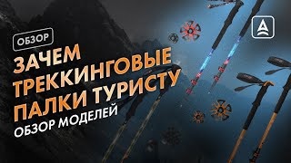 Как выбрать Треккинговые палки [upl. by Shandee]