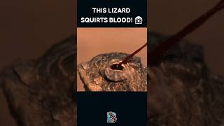 3 Animal Defenses You Won’t Believe Exist—MindBlowing Survival Skills 🐟🦎💥 Shorts [upl. by Hcirdla]