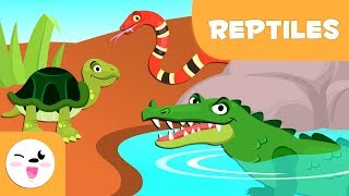 Reptiles for kids  Vertebrate animals  Natural Science For Kids [upl. by Josey461]