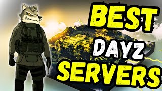 From Bored to Epic Mastering PVP in DayZ Servers [upl. by Eatnoed]