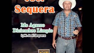 Joel Sequera  Me Agarro Diciembre Limpio [upl. by Vernor]