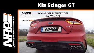 NAP Klappenauspuff ▶ Kia Stinger GT  Soundcheck [upl. by Merce]