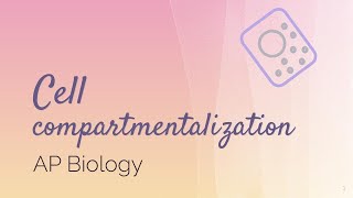 AP Biology Cell Compartmentalization [upl. by Rondi]