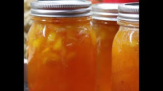 309 How to Make Peach Preserves Like Mama did [upl. by Dulcle]