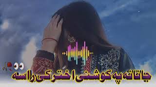 Janana pa Koshni Akhtar ki rasa  Haider khilji TikTok Trending song 2024  Pashto hitSong [upl. by Ahsiekram]