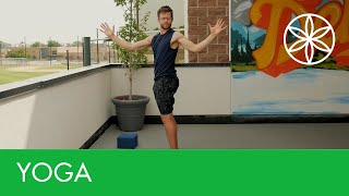 20 Minute Yoga for Spine Health  Yoga  Gaiam [upl. by Rexfourd]