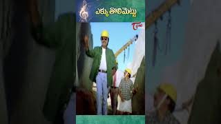 IPSNarasimha  Shorts  BalaKrishna Reels Asin Action TRending HindiMovie [upl. by Esyahc]