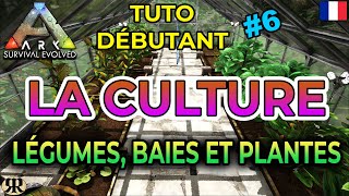 FR ARK Survival Evolved  TUTO DEBUTANT 6 La Culture légumes baies plantes [upl. by Campy]