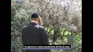 La Plegaria Personal  Rabino Shalom Arush [upl. by Leclair]