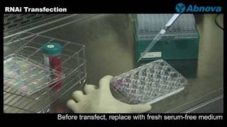 RNAi Transfection [upl. by Griz]