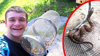 I Trapped Snakes in my Minnow Trap [upl. by Adnik790]