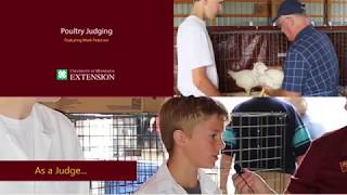 4H Poultry Judging [upl. by Ardnoek418]