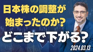 日本株の調整が始まったのか？どこまで下がる？ [upl. by Laundes10]