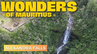 Alexandra Falls Wonders of Mauritius  Black River Gorges National Park Mauritius [upl. by Balfore]