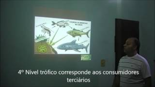 Cadeias e teias alimentares fluxo da energia e ciclo da matéria [upl. by Akinar]