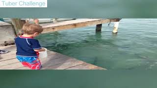 Best 3 Min Of Try Not To Laugh Or Grin Funny Kids Fails Compilation 2019 Best Fails Vines 2019 [upl. by Moffitt23]