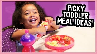 What My Toddler Eats in a Day Picky 2 Year Old  Quick Meal Ideas [upl. by Mosley751]