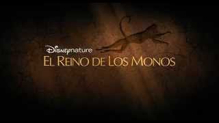 El Reino de los Monos Tráiler Oficial [upl. by Ahseyk]