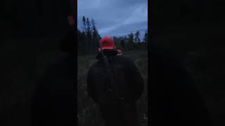 Maine Moose hunt part 1 [upl. by Haonam]