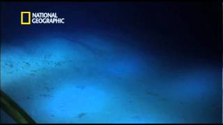 Cameron Dive Breaks Record  National Geographic [upl. by Ketti]