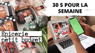 Astuces petit budget à l’épicerie  Mes achats de la semaine [upl. by Riva119]