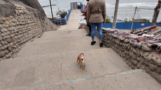 Paseo del malecón al mar de Miraflores Lima  Perú 2024 [upl. by Nataline]