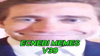 ECNEBI MEMES V39 [upl. by Ahtelat505]