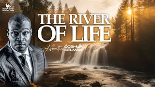 THE RIVER OF LIFE  RECHARGE CONFERENCE 2024  LAGOSNIGERIA  APOSTLE JOSHUA SELMAN [upl. by Alba]