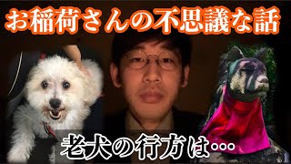 「消えた老犬」伊山の怖い話 30 [upl. by Chapnick314]