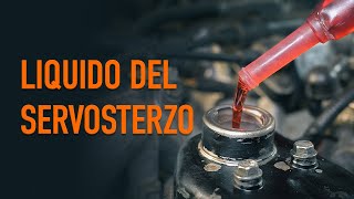 Cambiare il liquido del servosterzo  I consigli di AUTODOC [upl. by Eniamrahs]