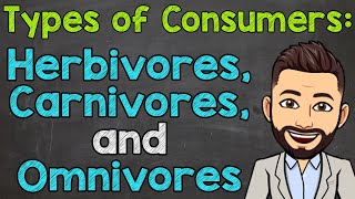 Types of Consumers  Herbivores Carnivores and Omnivores [upl. by Ainegue]