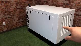 Aurora Diesel Generator  A Quick Review [upl. by Aehr]