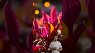 ¡Estas plantas MÁGICAS cambian de color frente a tus ojos🌈😱Plantas Jardinería Naturaleza Shorts [upl. by Ennairod]