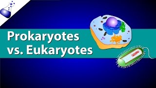 Prokaryotic Vs Eukaryotic Cells [upl. by Selby]