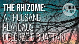 The Rhizome  A Thousand Plateaus Deleuze and Guattari [upl. by Atlas440]